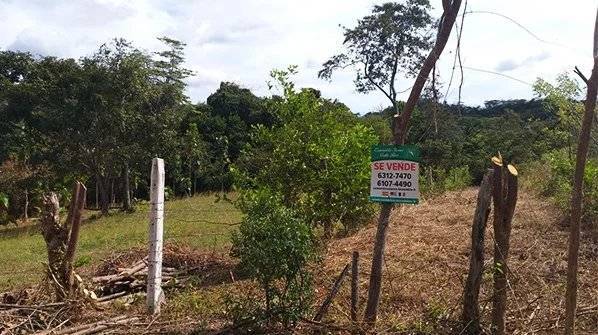 Sale Plot of land Tamarindo